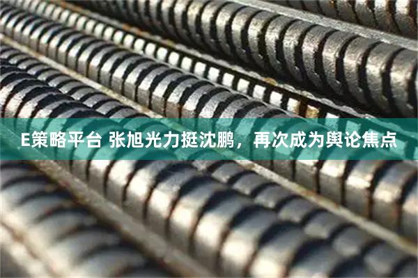 E策略平台 张旭光力挺沈鹏，再次成为舆论焦点