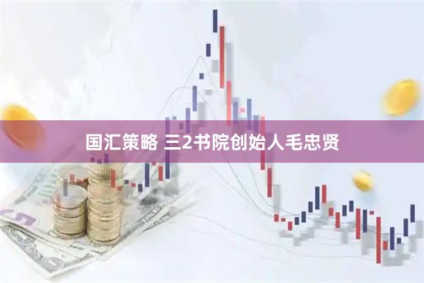 国汇策略 三2书院创始人毛忠贤