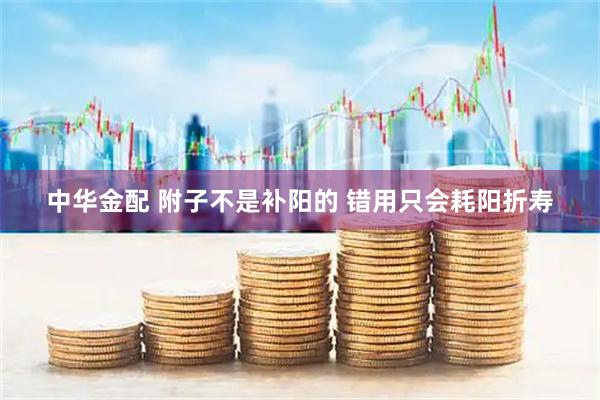 中华金配 附子不是补阳的 错用只会耗阳折寿