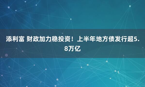 添利富 财政加力稳投资!上半年地方债发行超5.8万亿