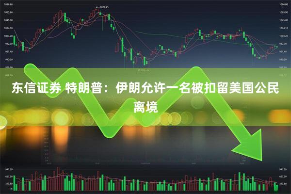 东信证券 特朗普：伊朗允许一名被扣留美国公民离境