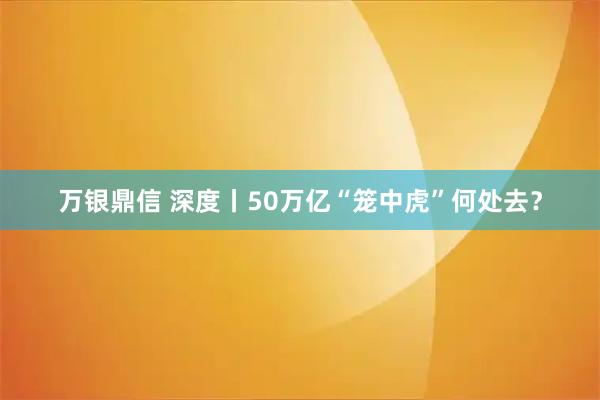 万银鼎信 深度丨50万亿“笼中虎”何处去？