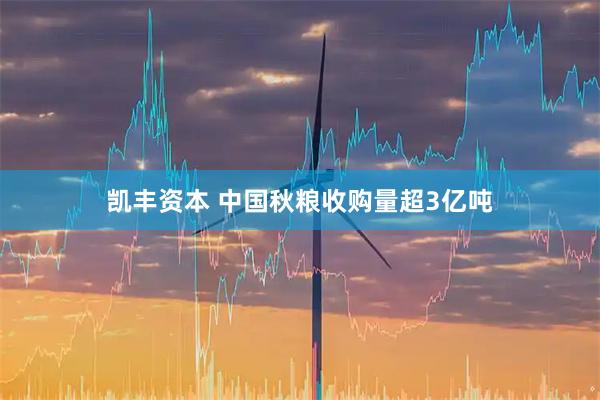 凯丰资本 中国秋粮收购量超3亿吨