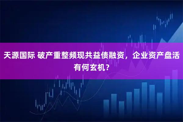 天源国际 破产重整频现共益债融资，企业资产盘活有何玄机？