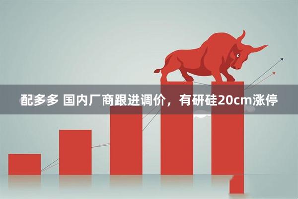 配多多 国内厂商跟进调价，有研硅20cm涨停