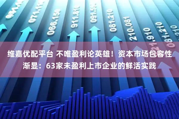维嘉优配平台 不唯盈利论英雄！资本市场包容性渐显：63家未盈利上市企业的鲜活实践