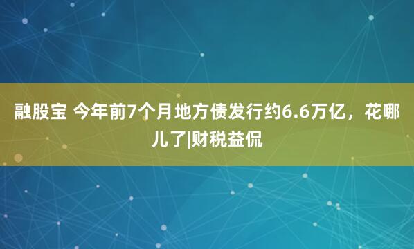 融股宝 今年前7个月地方债发行约6.6万亿，花哪儿了|财税益侃