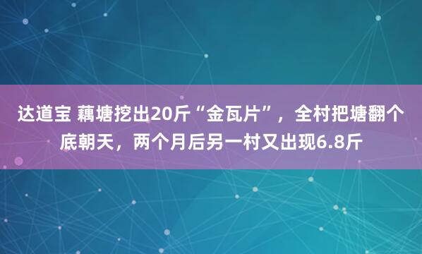 达道宝 藕塘挖出20斤“金瓦片”，全村把塘翻个底朝天，两个月后另一村又出现6.8斤